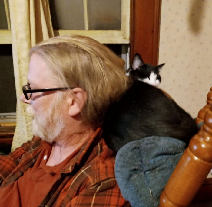 15 pessoas que na verdade não queriam um animal de estimação, mas instantaneamente mudaram de ideia 12