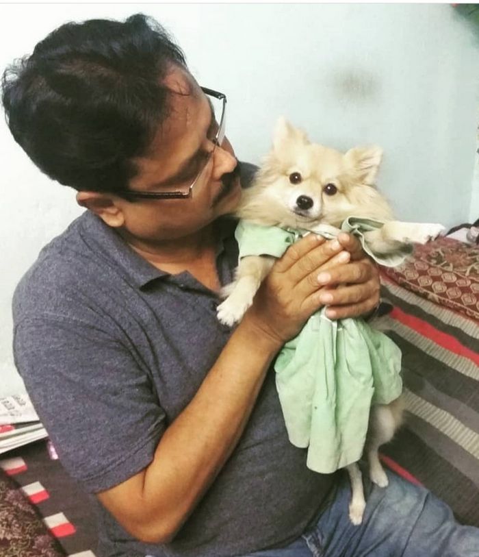 15 pessoas que na verdade não queriam um animal de estimação, mas instantaneamente mudaram de ideia 13