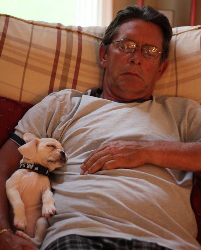 15 pessoas que na verdade não queriam um animal de estimação, mas instantaneamente mudaram de ideia 15