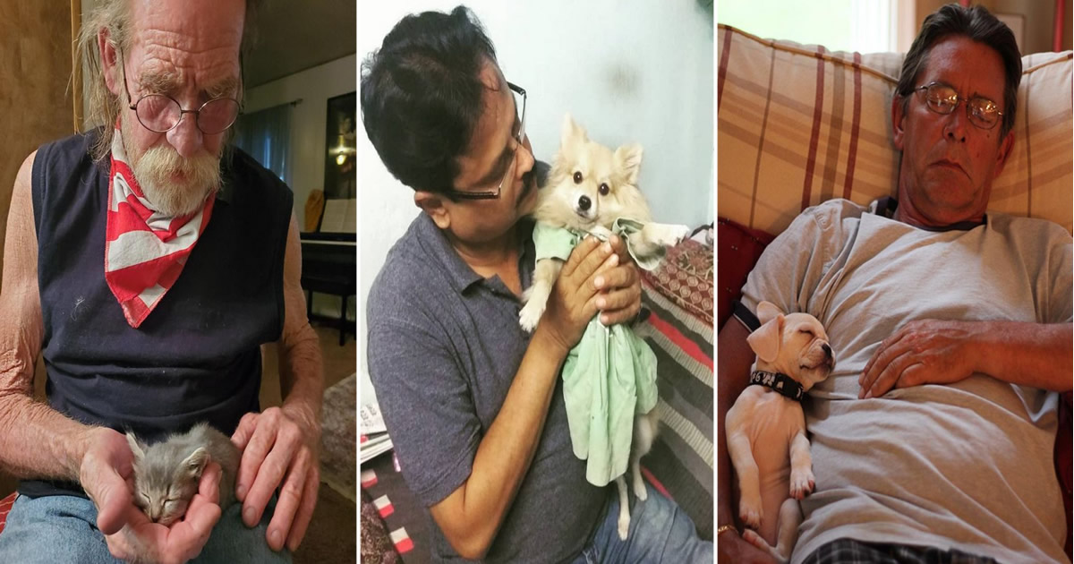 15 pessoas que na verdade não queriam um animal de estimação, mas instantaneamente mudaram de ideia