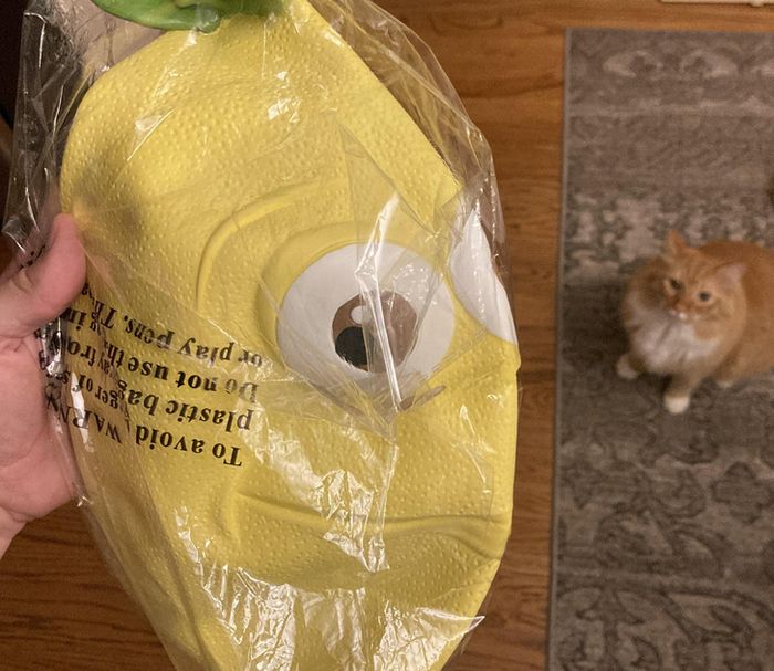 15 pessoas que têm uma paciência tão forte que até o aço é mais fraco 8