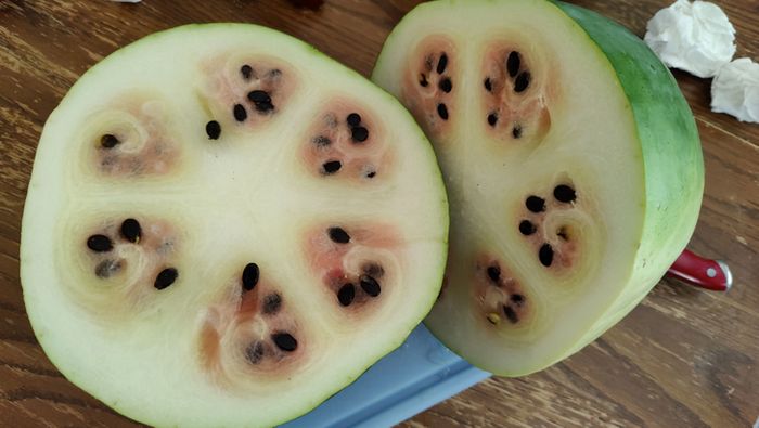 15 pessoas que têm uma paciência tão forte que até o aço é mais fraco 14