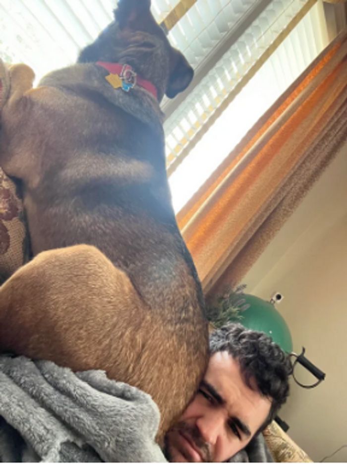 15 animais de estimação que sabem exatamente como adicionar um pouco de loucura à vida de seus donos 10