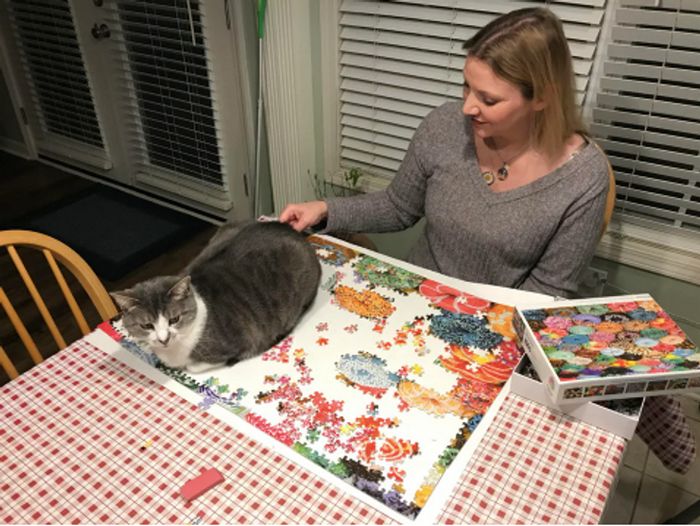 15 animais de estimação que sabem exatamente como adicionar um pouco de loucura à vida de seus donos 14