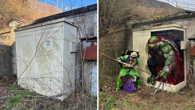 Artista de rua francês pinta grafite 3D e não é para os fracos de coração (26 fotos) 15