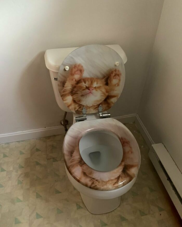 31 casas mais malucas, estranhas e bizarras já vista 26