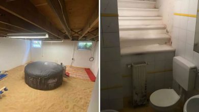 31 casas mais malucas, estranhas e bizarras já vista 24