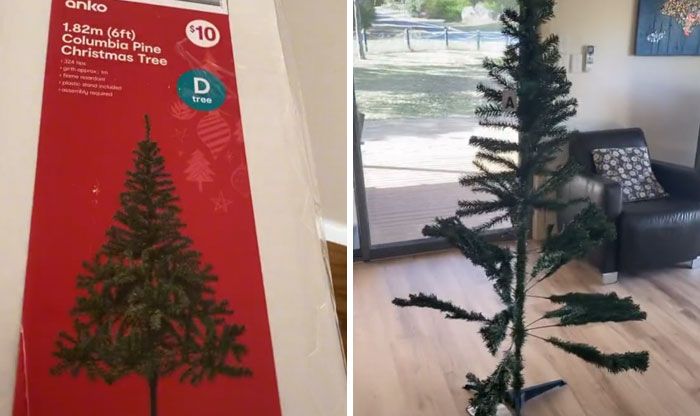 30 exemplos mais decepcionantes de “o que eu queria versus o que eu tenho” 20