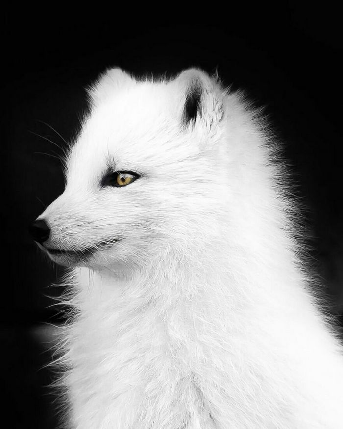 35 fotos da natureza nórdica 27