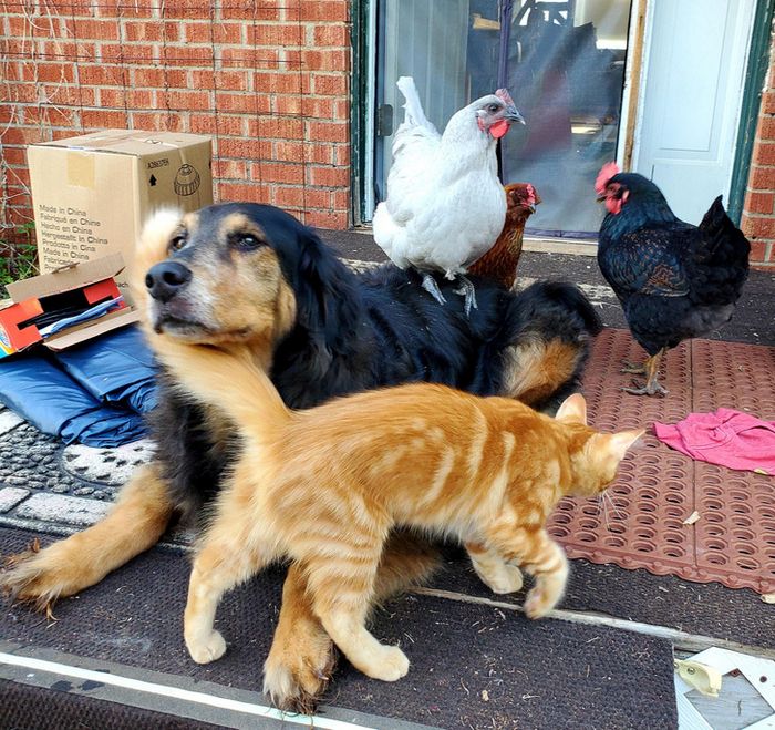 17 fotos que são mais doces que um bolo de aniversário 4