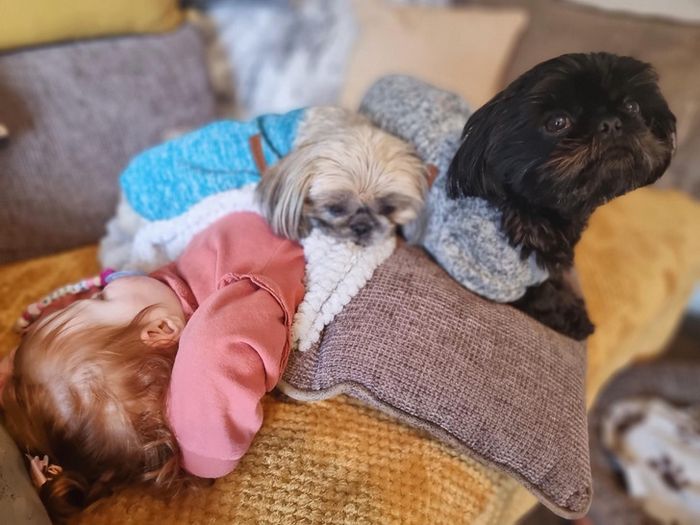 17 fotos que são mais doces que um bolo de aniversário 5