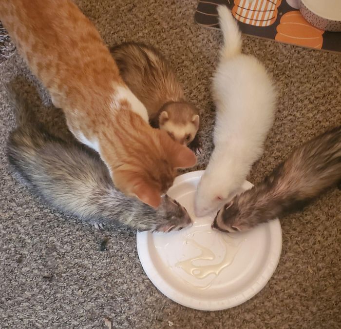 17 fotos que são mais doces que um bolo de aniversário 7