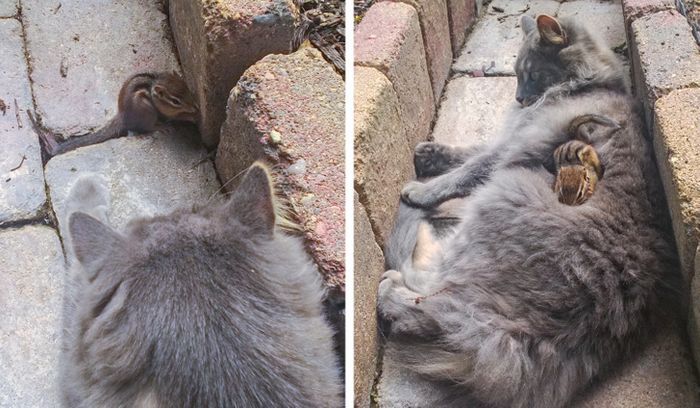 17 fotos que são mais doces que um bolo de aniversário 8