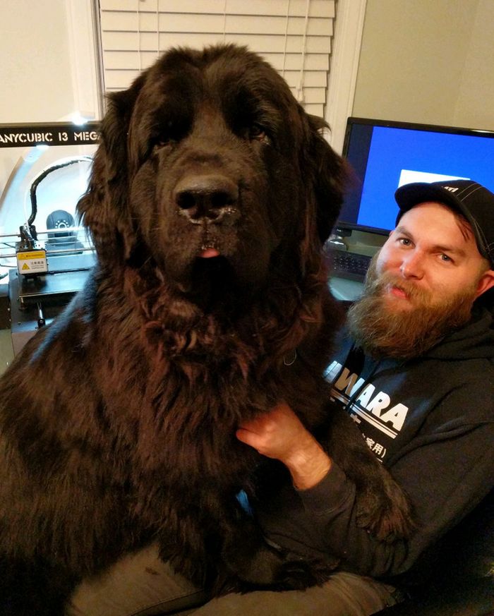 17 fotos que são mais doces que um bolo de aniversário 9