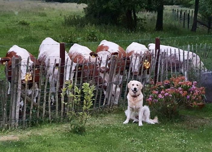 17 fotos que são mais doces que um bolo de aniversário 10