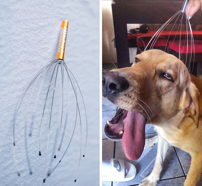 17 fotos que são mais doces que um bolo de aniversário 11