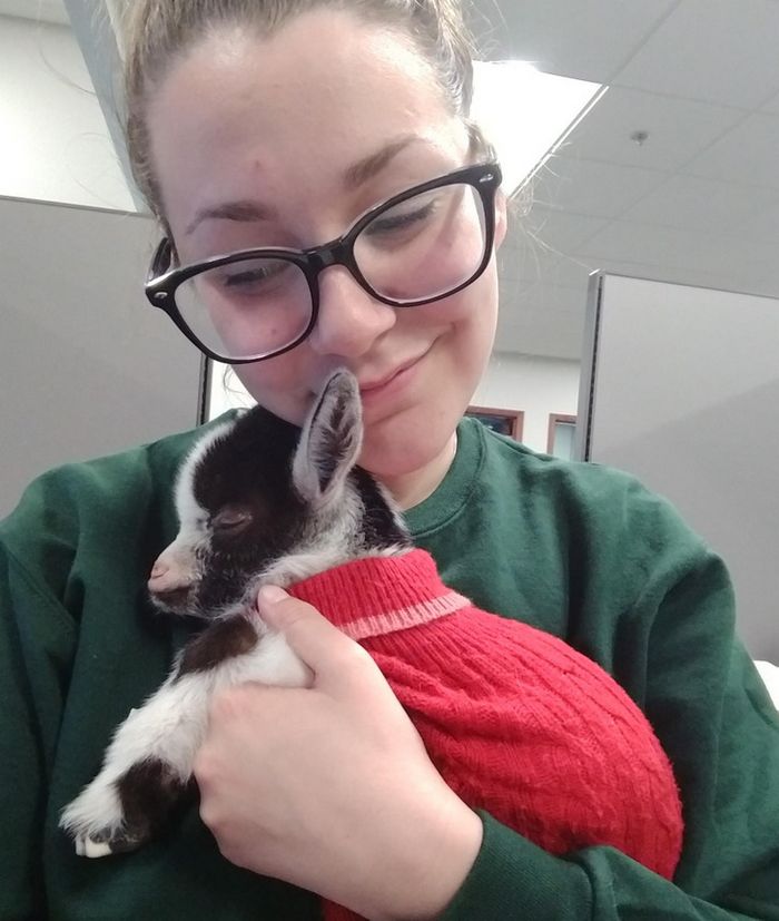 17 fotos que são mais doces que um bolo de aniversário 12