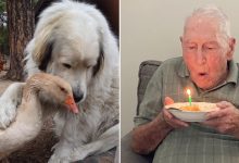 17 fotos que são mais doces que um bolo de aniversário 7