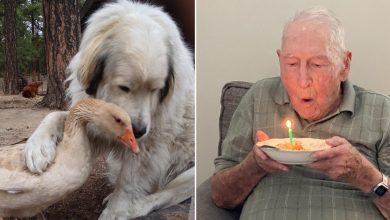 17 fotos que são mais doces que um bolo de aniversário 20