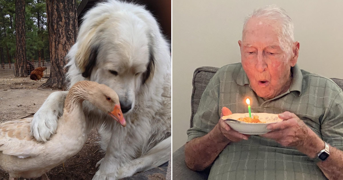 17 fotos que são mais doces que um bolo de aniversário