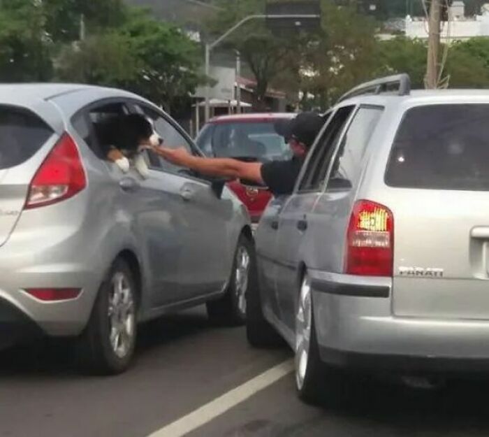 37 fotos sem contexto que ficam cada vez mais estranhas quanto mais você as olha 25