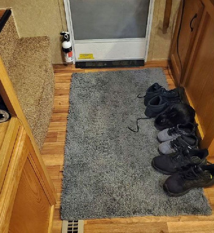 24 memes e piadas sobre coelhos que mostram que eles não são tão doces e inocentes quanto parecem 1