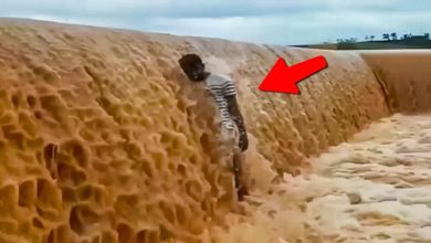 200 momentos incríveis gravados pelas câmeras 1