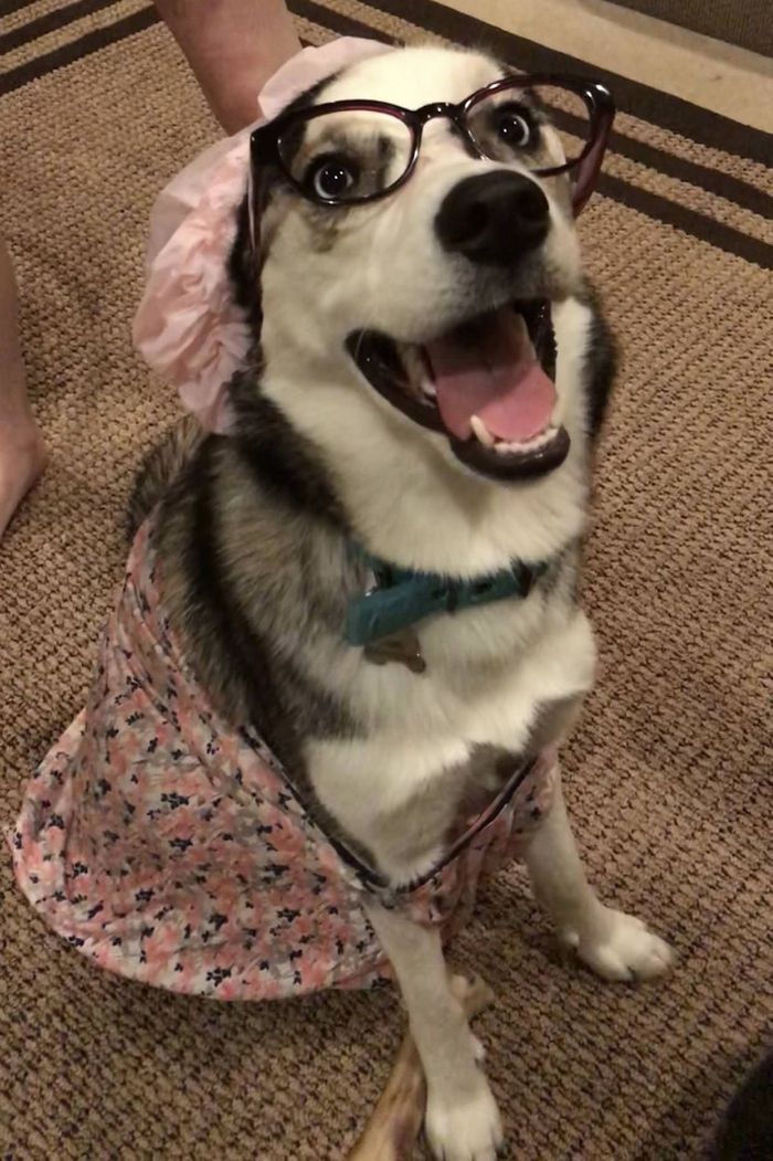 20 pessoas que usaram sua imaginação e mãos habilidosas para criar fantasias de Halloween memoráveis 4