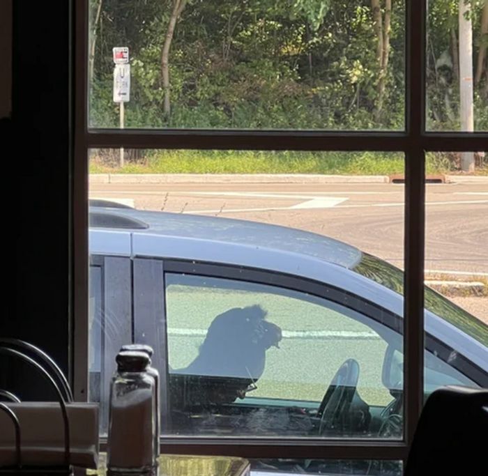 16 vezes em que as pessoas mostraram como a perspectiva pode mudar sua visão 1