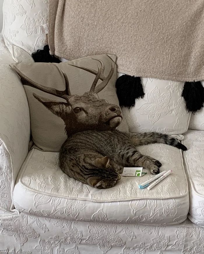 16 vezes em que as pessoas mostraram como a perspectiva pode mudar sua visão 2