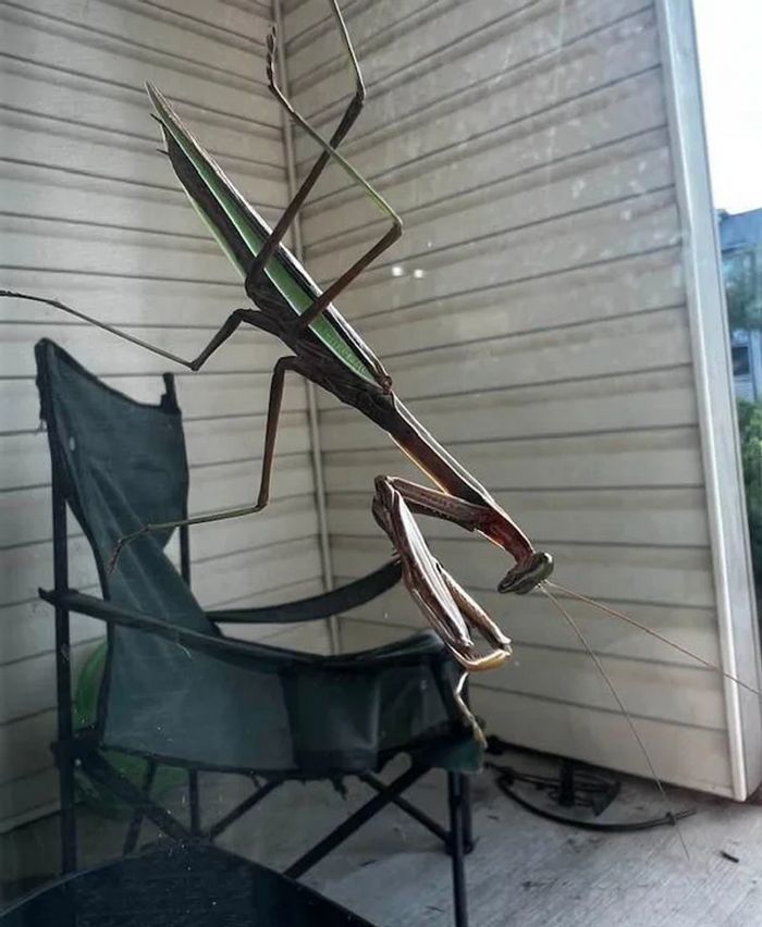 16 vezes em que as pessoas mostraram como a perspectiva pode mudar sua visão 6