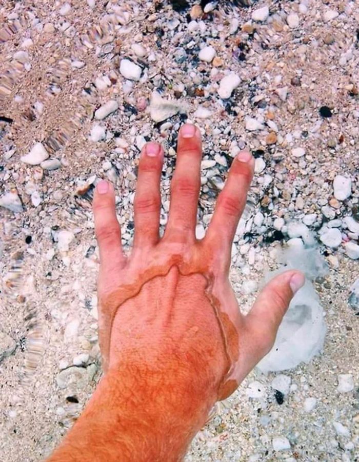 16 vezes em que as pessoas mostraram como a perspectiva pode mudar sua visão 8