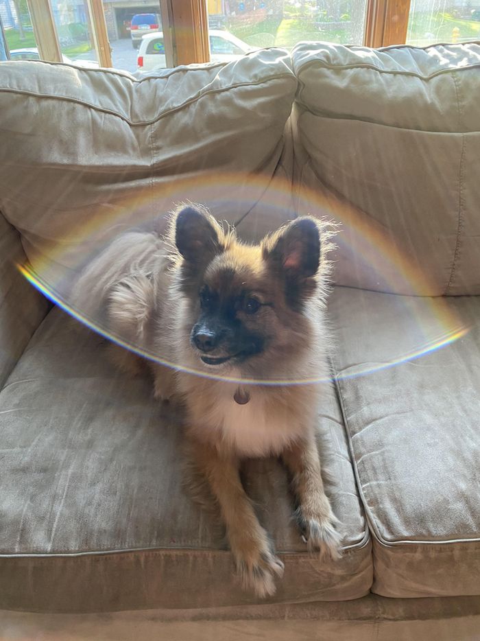 16 vezes em que as pessoas mostraram como a perspectiva pode mudar sua visão 9