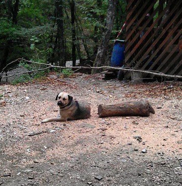 16 vezes em que as pessoas mostraram como a perspectiva pode mudar sua visão 14