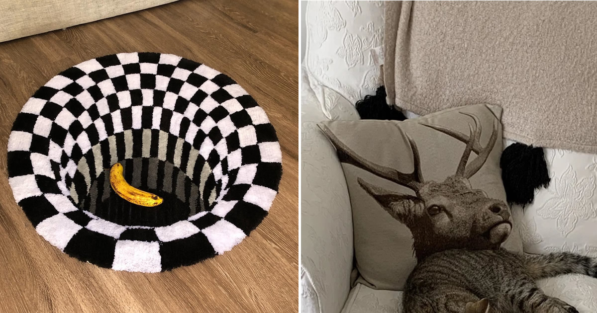 16 vezes em que as pessoas mostraram como a perspectiva pode mudar sua visão