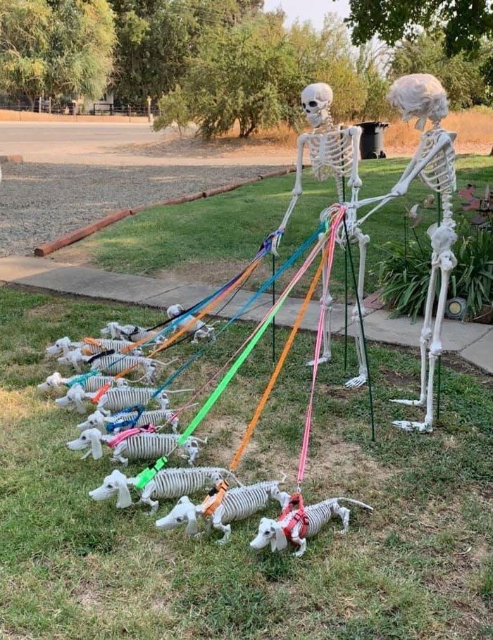 41 vezes que as pessoas levaram as decorações de Halloween para o próximo nível 33