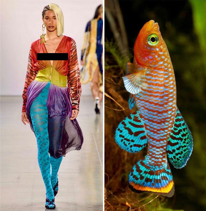 A moda muitas vezes se inspira na natureza e esta conta do Instagram prova isso (32 fotos) 1 A moda muitas vezes se inspira na natureza e esta conta do Instagram prova isso (32 fotos) 1