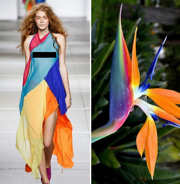 A moda muitas vezes se inspira na natureza e esta conta do Instagram prova isso (32 fotos) 2 A moda muitas vezes se inspira na natureza e esta conta do Instagram prova isso (32 fotos) 2