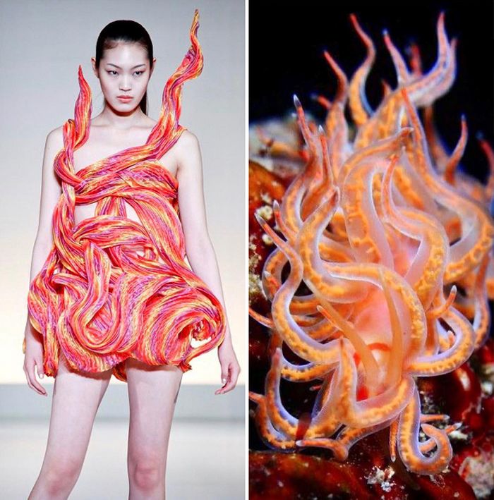 A moda muitas vezes se inspira na natureza e esta conta do Instagram prova isso (32 fotos) 3 A moda muitas vezes se inspira na natureza e esta conta do Instagram prova isso (32 fotos) 3