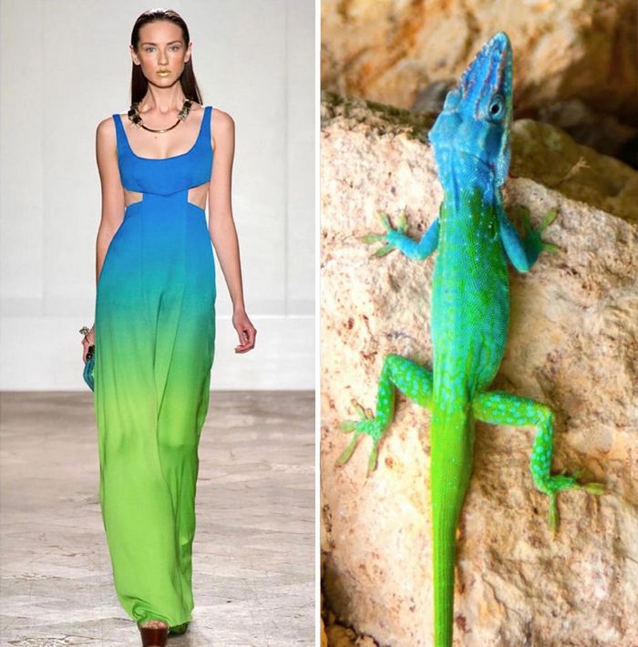 A moda muitas vezes se inspira na natureza e esta conta do Instagram prova isso (32 fotos) 4 A moda muitas vezes se inspira na natureza e esta conta do Instagram prova isso (32 fotos) 4