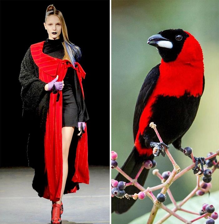 A moda muitas vezes se inspira na natureza e esta conta do Instagram prova isso (32 fotos) 6 A moda muitas vezes se inspira na natureza e esta conta do Instagram prova isso (32 fotos) 6