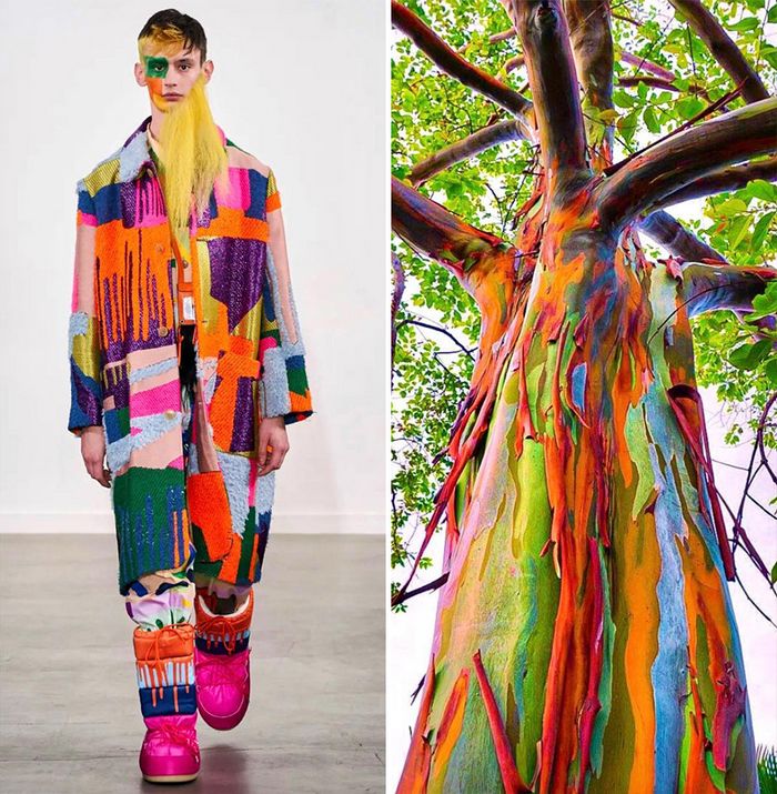 A moda muitas vezes se inspira na natureza e esta conta do Instagram prova isso (32 fotos) 7 A moda muitas vezes se inspira na natureza e esta conta do Instagram prova isso (32 fotos) 7