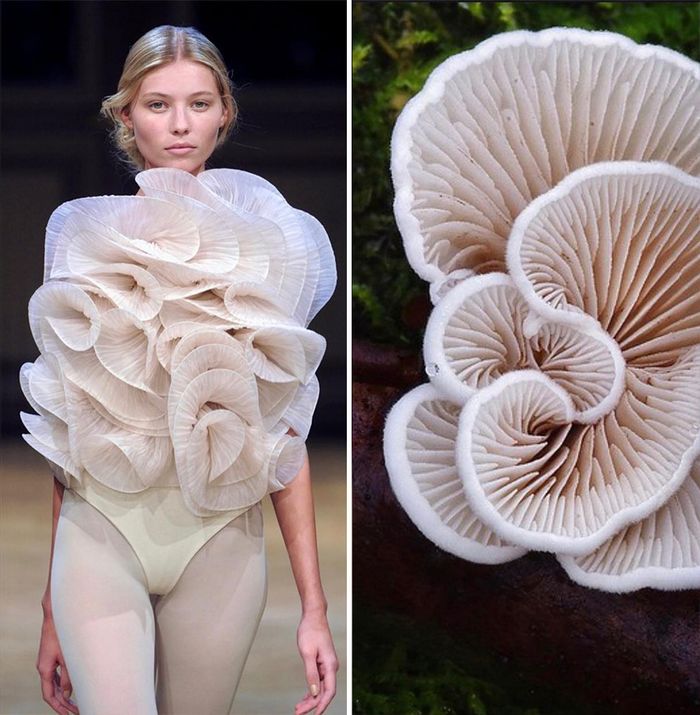 A moda muitas vezes se inspira na natureza e esta conta do Instagram prova isso (32 fotos) 8