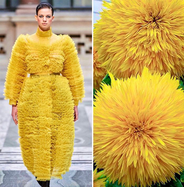 A moda muitas vezes se inspira na natureza e esta conta do Instagram prova isso (32 fotos) 9 A moda muitas vezes se inspira na natureza e esta conta do Instagram prova isso (32 fotos) 9