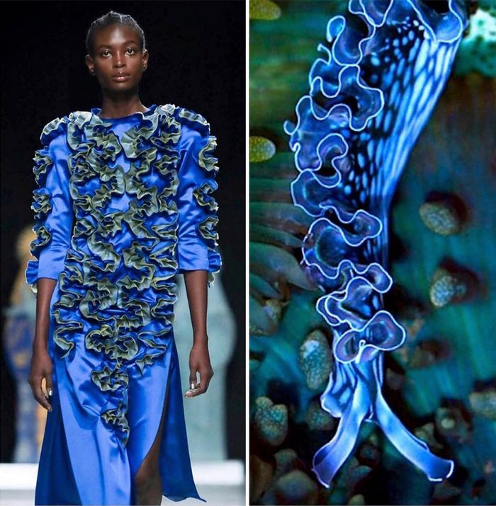A moda muitas vezes se inspira na natureza e esta conta do Instagram prova isso (32 fotos) 10 A moda muitas vezes se inspira na natureza e esta conta do Instagram prova isso (32 fotos) 10