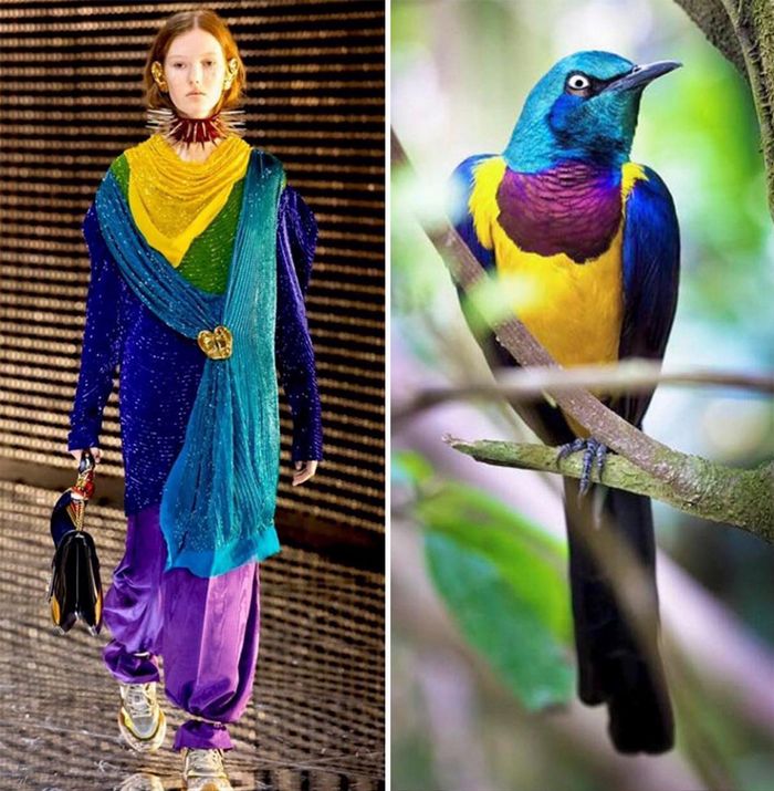 A moda muitas vezes se inspira na natureza e esta conta do Instagram prova isso (32 fotos) 11 A moda muitas vezes se inspira na natureza e esta conta do Instagram prova isso (32 fotos) 11