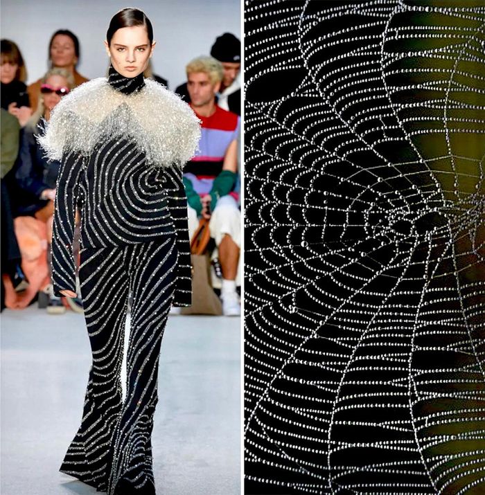 A moda muitas vezes se inspira na natureza e esta conta do Instagram prova isso (32 fotos) 12 A moda muitas vezes se inspira na natureza e esta conta do Instagram prova isso (32 fotos) 12