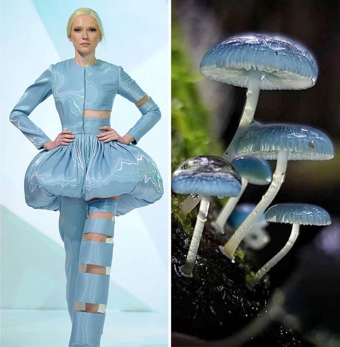 A moda muitas vezes se inspira na natureza e esta conta do Instagram prova isso (32 fotos) 13 A moda muitas vezes se inspira na natureza e esta conta do Instagram prova isso (32 fotos) 13