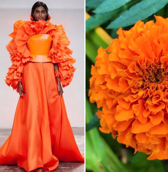 A moda muitas vezes se inspira na natureza e esta conta do Instagram prova isso (32 fotos) 14 A moda muitas vezes se inspira na natureza e esta conta do Instagram prova isso (32 fotos) 14