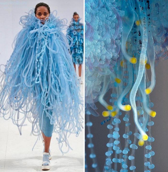 A moda muitas vezes se inspira na natureza e esta conta do Instagram prova isso (32 fotos) 18 A moda muitas vezes se inspira na natureza e esta conta do Instagram prova isso (32 fotos) 18